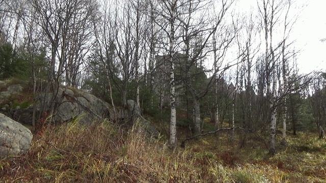 Скалодром Таганай.