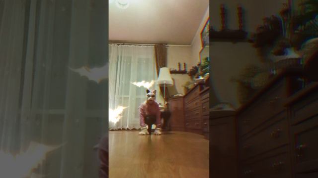 Я пытаюсь научится самостоятельно квадробике