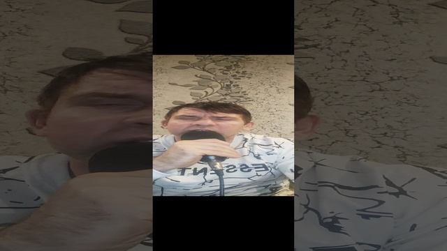 Птица.mp4