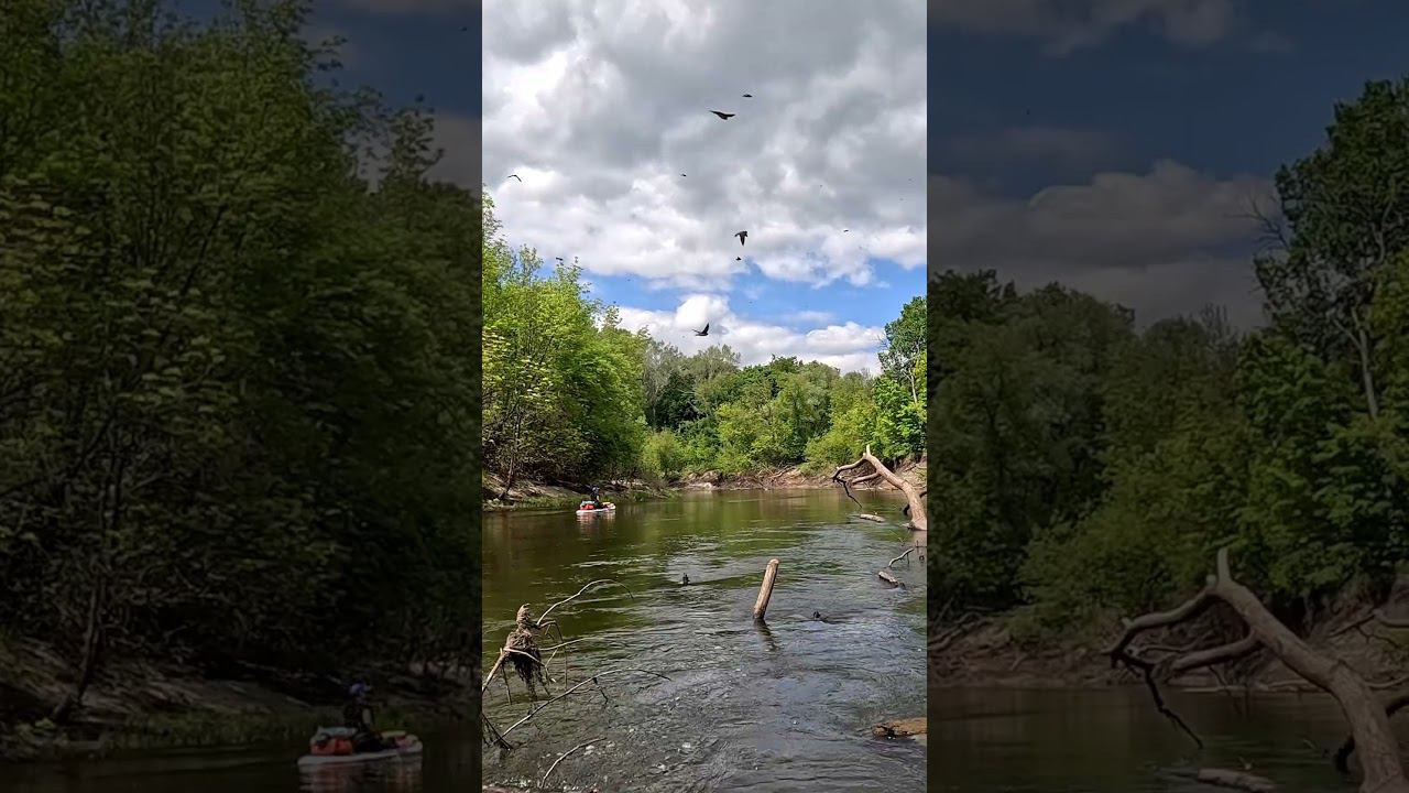 195 км на сапборде по реке Ворона #сапборд #sup #водный_поход #сапсерфинг #сап