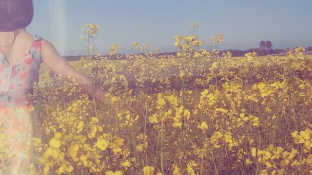 You rise me up - Secret Garden | Anastazja Violin Cover