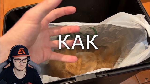 ТРАНСФОРМАЦИЯ КОТА за 24 часа ► БРАЙН МАПС | Реакция