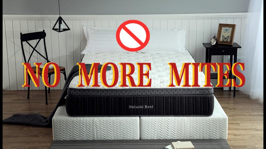 Latex mattresses say goodbye to mites(俄语)