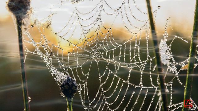 Святой Иоанн Лествичник  Борьба с гордостию ч1