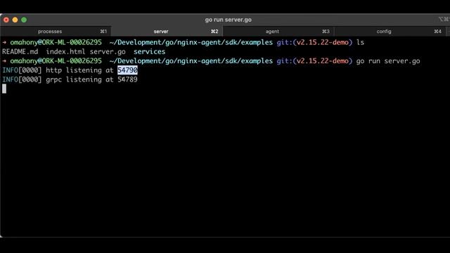 What is NGINX Agent?
