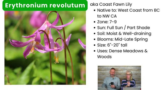 Live | What's the Fuss About Native Bulbs 😃☕ #Live #bulb #gardening