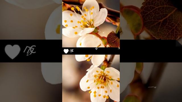 8 марта ❤️ #smm #маркетинг