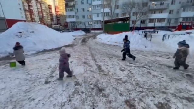 Акция «Покормите птиц зимой»