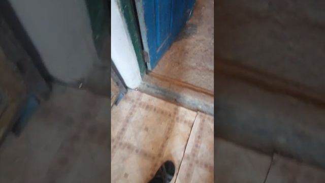 ещё 1 самодельная блютуз колонка.