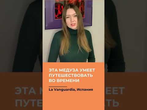 Эта медуза умеет путешествовать во времени. Ученые раскрыли ее секрет