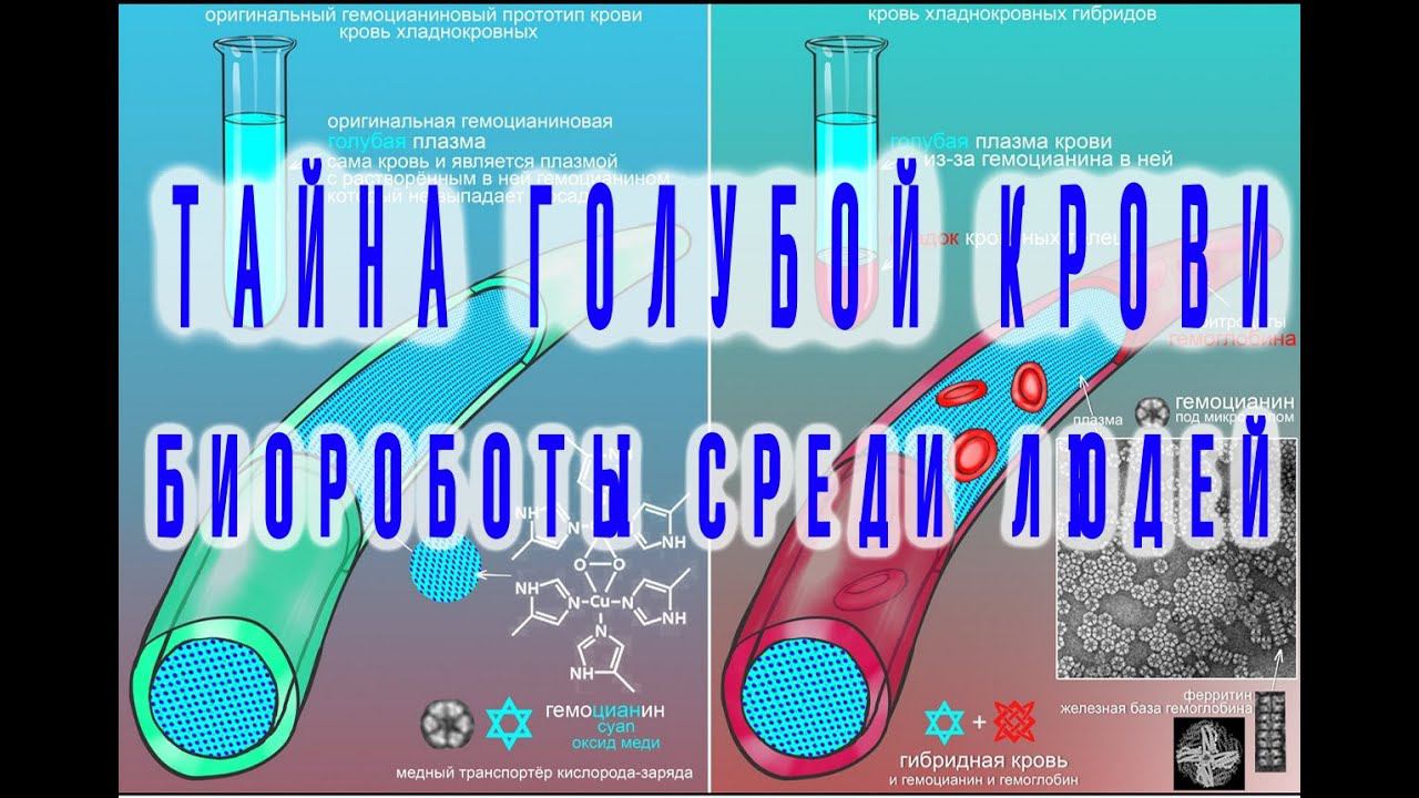 Тайна Голубой Крови: Биороботы Cреди Людей / Виктор Максименков