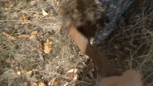 Железо есть! 2 / There is iron! 2