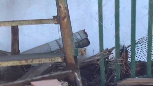 Виноград. 3.