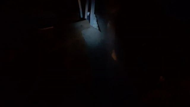 УТЕПЛЕНИЕ и ПАРОИЗОЛЯЦИЯ потолка ЧЕРЕЗ ГОД эксплуатации.