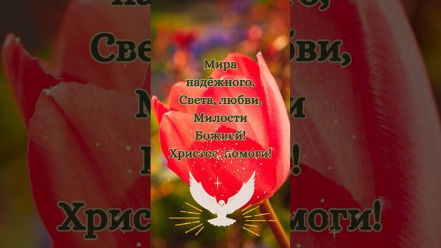 С праздником явления иконы Богородицы в Казани! 21 июля