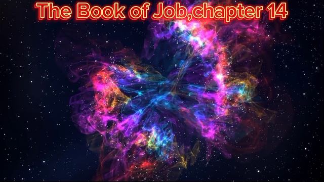 The Book of Job,chapter 14
