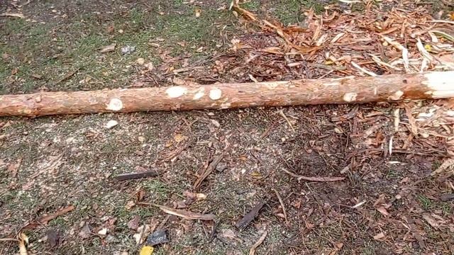 столбы на теплицу из каких я строю
