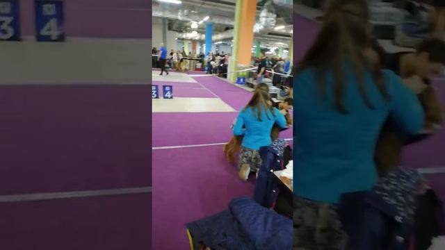 VID 20190331 115006