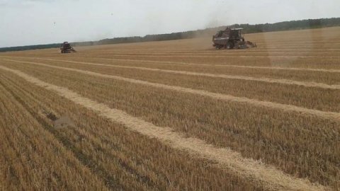 Молотим зерно смесь!