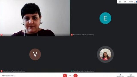 Defesa TCC - Luisa Lemes Zia