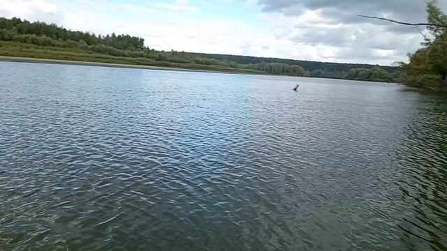 Долгожданная рыбалка на реке Обь. Судаки, щуки и конечно же покатушки на лодке.