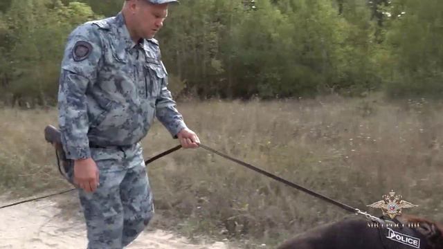 Ирина Волк: В Курской области служебная собака помогла найти без вести пропавшего мужчину