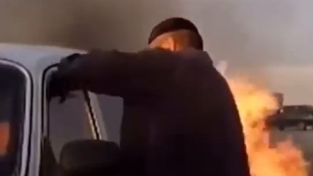 Чеченский волк