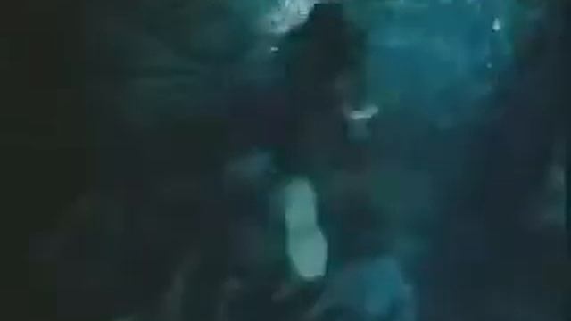 Comercial Jhonnie Walker " Cave "