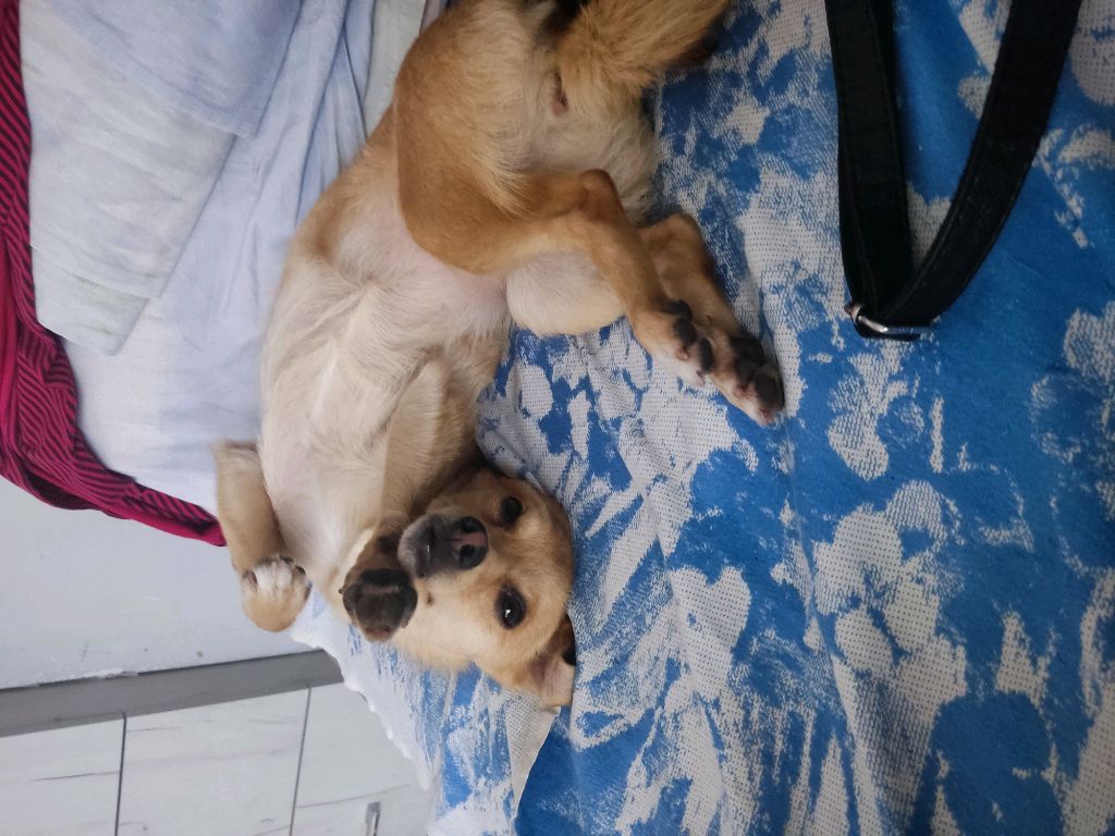 мне скучно