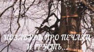 Отдохни этим вечером, он так прекрасен!