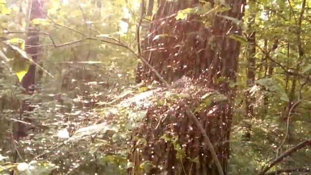 Эллипсоид в объемной паутине / Ellipsoid in a volumetric web