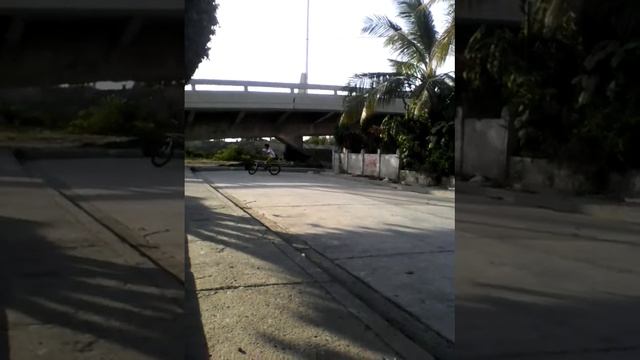 Caminando la bicicleta