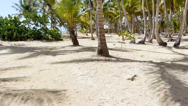 Grand Sirenis Punta Cana - Обзор отеля в период Covid-ограничений в Доминикане летом 2021