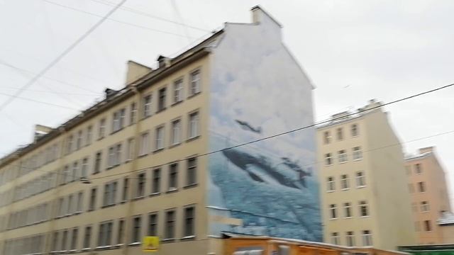 Санкт-Петербург. Улица Большая Зеленина. 30.11.2023.