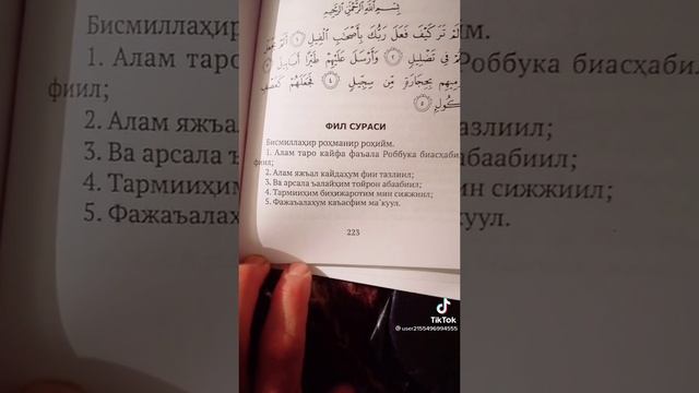 красивая правильно