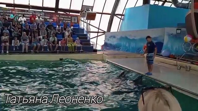 Выступление дельфинов в дельфинарии. Часть 3