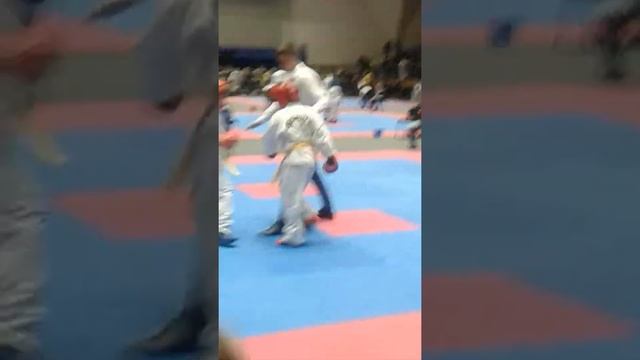 Маи сариики по taekvondo-ITF