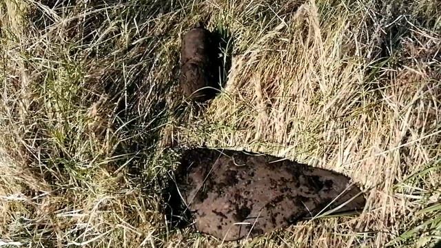 МТМ за заброшенной деревней.Метало коп!