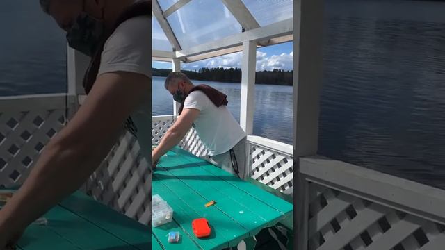 Сюрстрёмминг. Последняя кровь