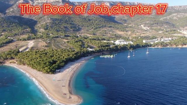 The Book of Job,chapter 17