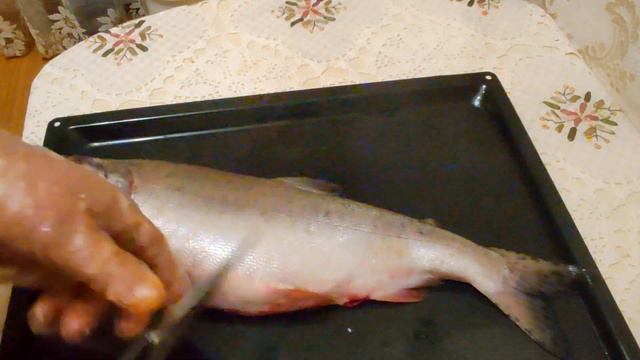 ГОРБУША. Как правильно выбрать самку с ИКРОЙ