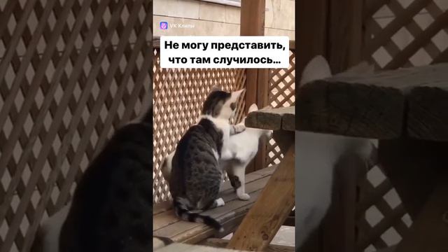 что то случилось.