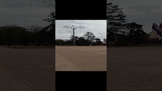 СЕРДЦЕ города РОЗ