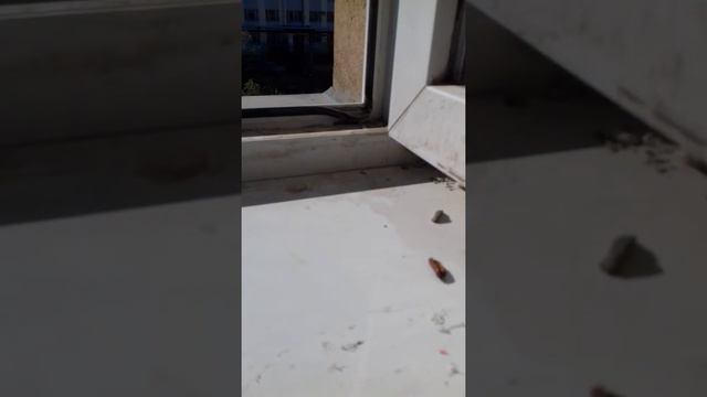 Якутйа 15 июн Хайт Намози