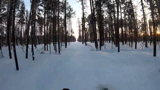 Тайга Патруль 800 на закате пробивает дорогу. Просто красивое видео.