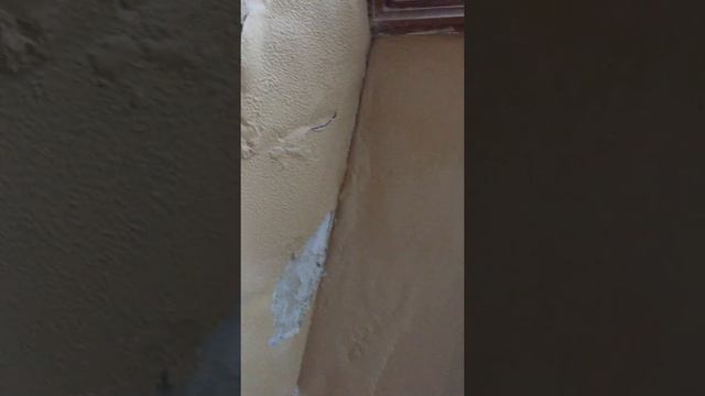 Вид изнутри во время дождя