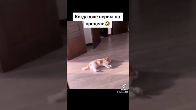 Такова нынче жизнь...