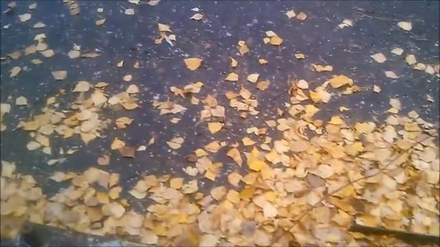 ява 360 найденный старичок