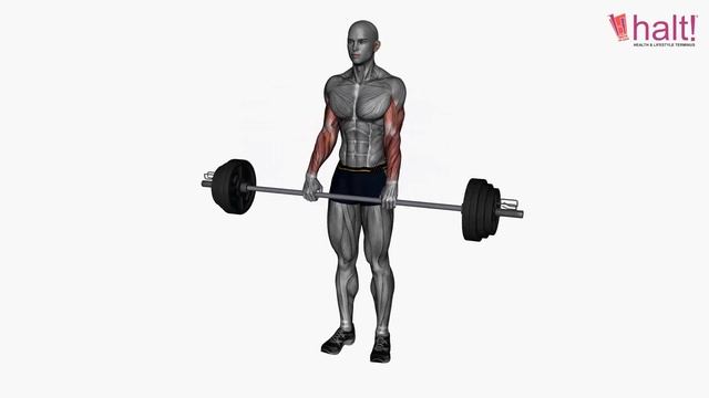 Biceps Workout | Exercise 38 | Reverse Curl Barbell | Halt Nutrition