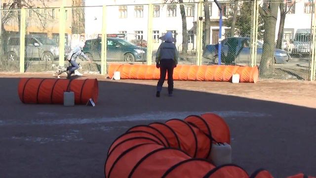 Д-1 Large - Малахова Марина и австралийская овчарка Виспа